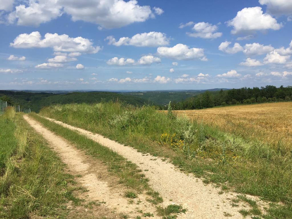 Gites Oasis Du Lot Payrac Экстерьер фото